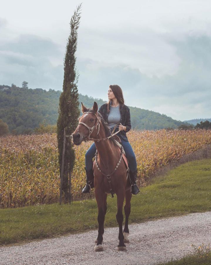 Agriturismo Querceto Mocaiana Zewnętrze zdjęcie