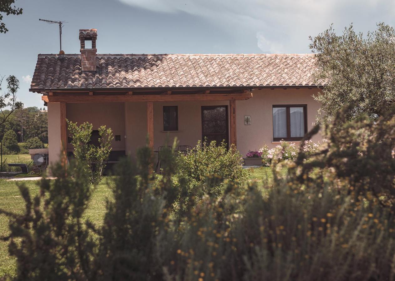 Agriturismo Querceto Mocaiana Zewnętrze zdjęcie
